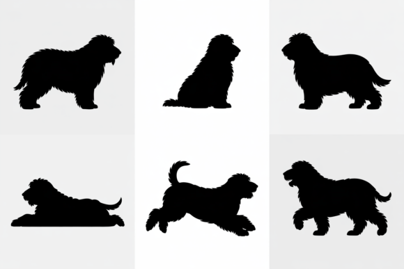 Bearded Collie Dog Silhouette Poses