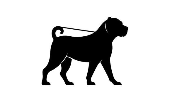Silhouetted Dog on Leash Walking Review